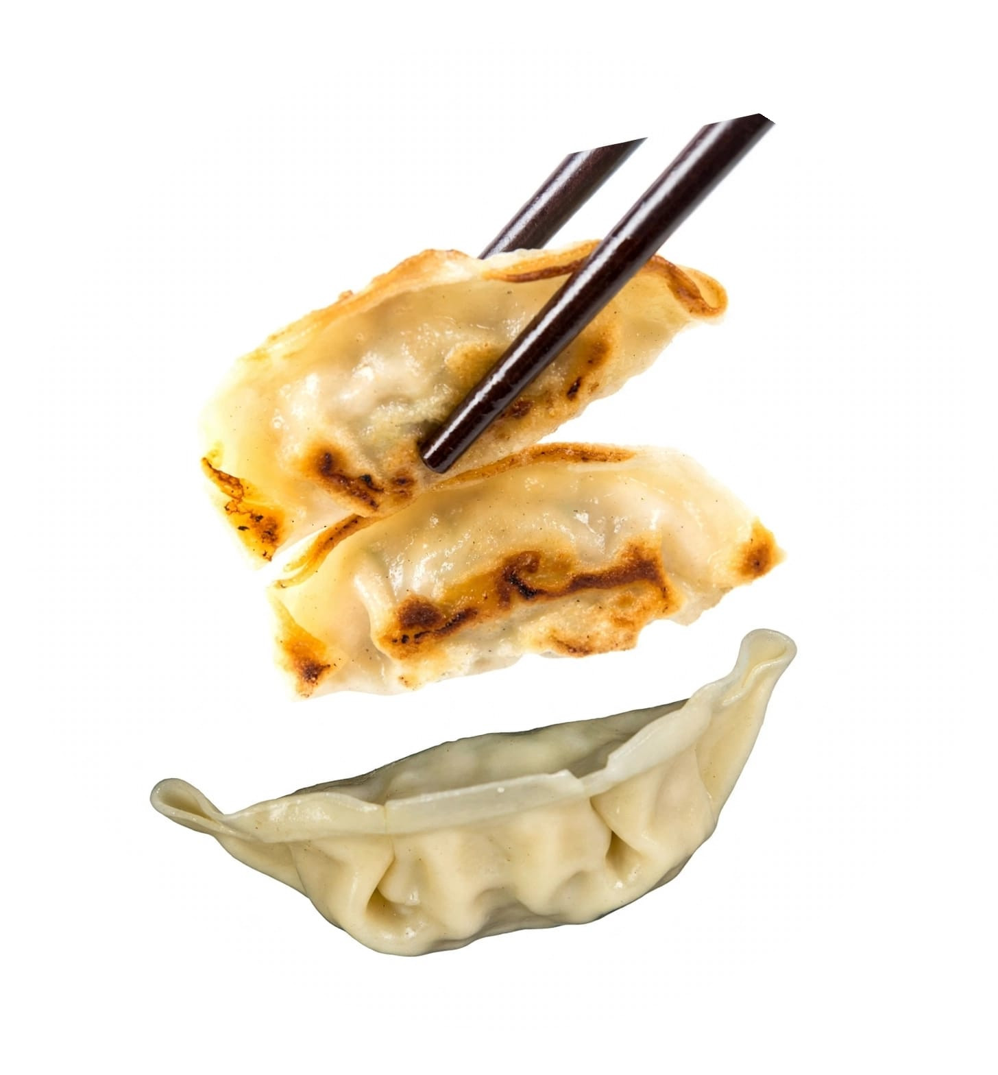 Ravioli e Gyoza